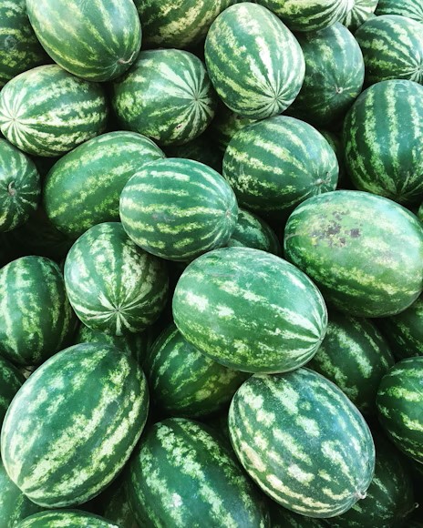 Maize